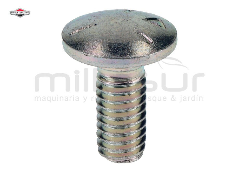 Bulloni Testa Zigrinata Inox 5/16-18 X 3/4 – Confezione Da 20 Pezzi – East Coast Bolts 1037